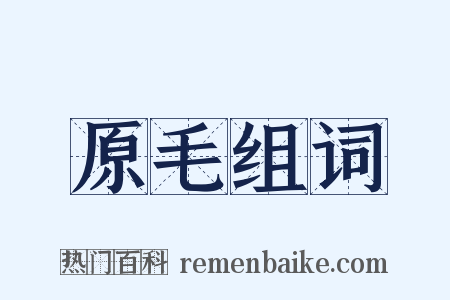 原毛组词是什么意思的图片